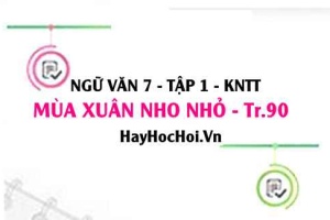 Soạn bài Mùa xuân nho nhỏ trang 90 Ngữ văn lớp 7 Kết nối tri thức tập 1